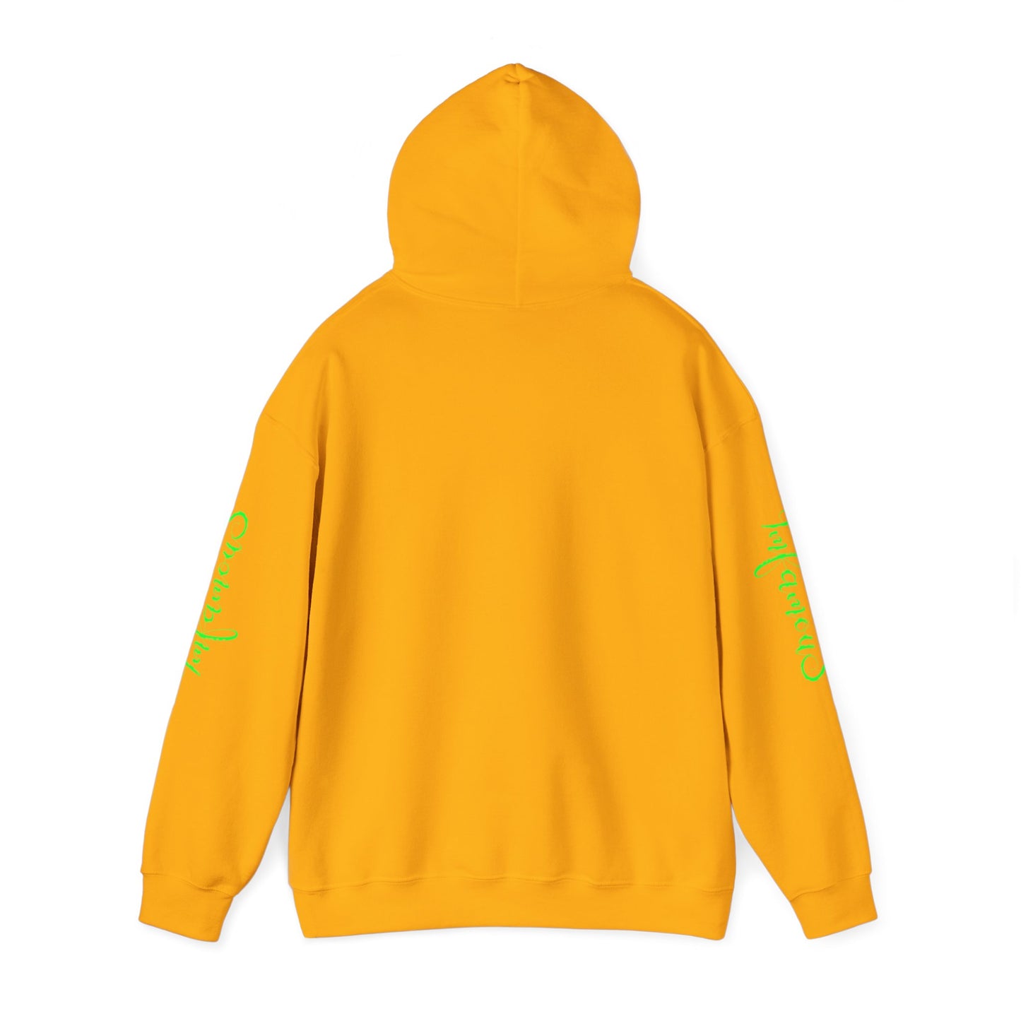 Premium Hooded Sweatshirt - Pineapple Flying on Unicorn Design