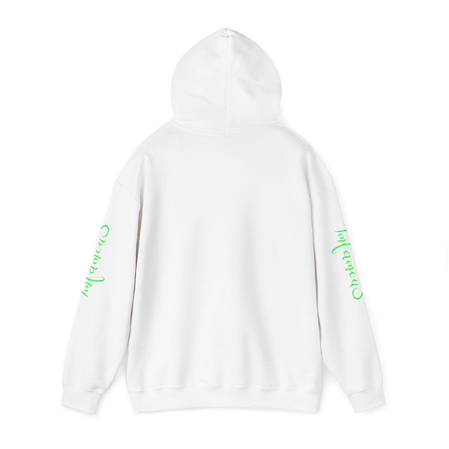 Premium Hooded Sweatshirt - Pineapple Flying on Unicorn Design