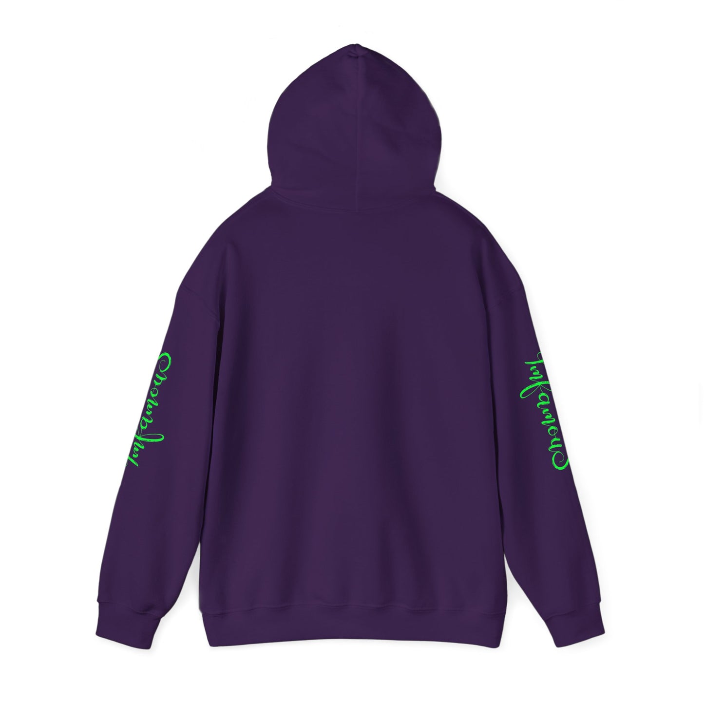 Premium Hooded Sweatshirt - Pineapple Flying on Unicorn Design