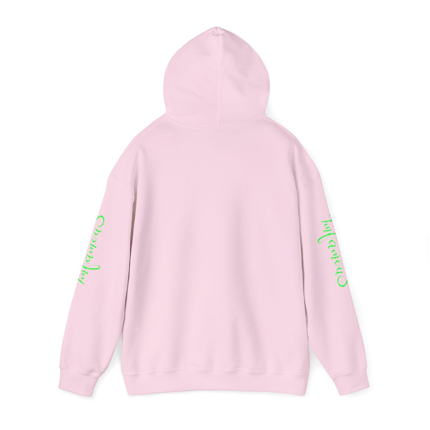 Premium Hooded Sweatshirt - Pineapple Flying on Unicorn Design